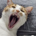<b>얼</b><b>평</b> 부탁