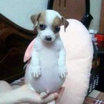 유튜브 <b>숏츠</b>가 젤 좋음