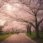 요새 듣는 노래 추천해주라