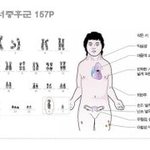 이짤 <b>진격</b>거 같음