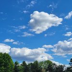 [도와줘ㅠㅠ] 모기장 관련 대학생 <b>설문</b>조사 한번 도와주세요ㅠㅠ