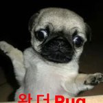 남친이 내앞에서 친구한테 내 <b>뒷담깜</b>