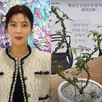 '2억 <b>절도</b> 피해' 솔비, 유재석 화분 선물 인증.."진심으로...