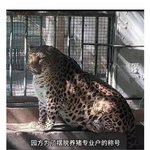 [웃픽] <b>사료</b> 민영화 동물원 대참사