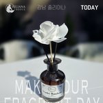 강남 줄리아나 나이트 토마토가 <b>현금</b> 쏜다고?
