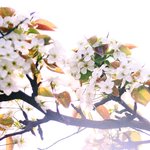 [이것좀봐줘] 집 근처 카페 사진