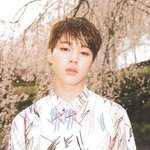 방탄 화양연화 <b>pt</b>.1 컨셉 포토 지민