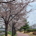 내<b>나이</b> 28 이제 늦은걸까