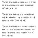 아일릿 매니저는 <b>하니</b> 고소 안하나..