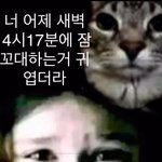 네이트판특:여성인권을외치지만 여돌까글은맨날톡<b>선임</b>