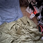 여러분 우리 강아지가요! <b>피카소</b>여!