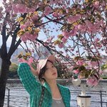 없이 늘씬 임수향, 벚꽃 여신 변신 <b>완료</b> “어떤 꽃보다도 아름답다”