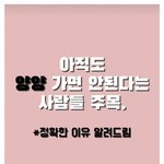 [웃픽] 올해 양양 마케팅 근황.<b>jpg</b>