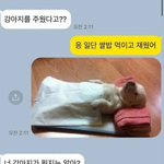 [강아지] 너 강아지가 뭔지는 알아?