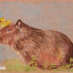 [어케생각해] 취미로 그린 카피<b>바라</b> &amp; 햄스터 그림