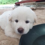 겸<b>댕이</b> 보여주까?