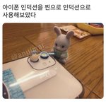 나만 주변에서 <b>인팁</b> 한번도 본적없냐