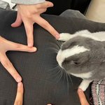 [웃픽] <b>다섯</b>이 모여서 하나야