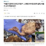 [웃픽] 이런<b>경우</b>가 다 잇네요??