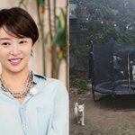 "두 아들 위해"..황정음, 46억 단독주택 안에 '이것' 설치했다