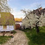 [댓글부탁해] 이런데서 살수있다 <b>vs</b> 없다