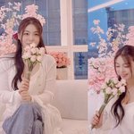 '최시훈' 에일리, 결혼 하루 앞두고 호피+레드 <b>속옷</b> 선물 '화끈'