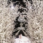 조세호, 효민 '초호화 결혼식'에 감탄 "너무 좋아, 올해 벚꽃...