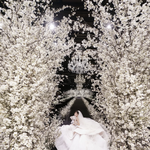 조세호·권은비, 효민 ‘럭셔리 결혼식’에 감탄..“올해 벚꽃 다...