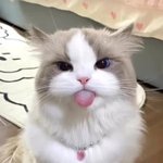 어쩐지