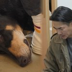 배정남 <b>좌절</b>…반려견 근육암→또 수술대로 "전이 될까 무섭다"...