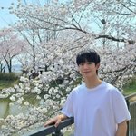 ‘36세’ 정해인, 보이그룹 뺨치는 <b>청량</b>美‥인간 벚꽃 등장이요