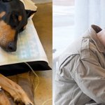 배정남 충격소식 뜸 악성종양 발견에 근육암 판정받았대;;