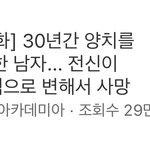 <b>양치</b> 하기 싫을때 이거 보면 좋음