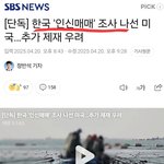 신안출신 어조깅