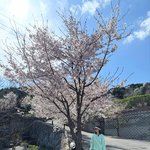 서효림 딸 조이, <b>산책길</b> 빛낸 우월한 유전자.."가평에는 벚꽃이...