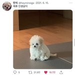 [댓글부탁해] 모르는 사람한테 <b>팔</b>로우 왔는데 비공개에