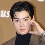 돈벌이?... 차은우 팬덤, 근거 없는 비난에 ‘뿔났다’ [왓<b>IS</b>]