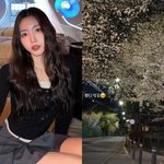 성해은, 벚꽃 나들이에 '눈물 글썽'…결별설에 <b>무게</b> 더 싣었다