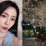 “벚꽃 봤다” 성해은, 정현규 결별설 속 밝은 얼굴+남친 투샷은 <b>NO</b>