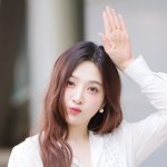 ‘토끼가 되고 싶은 병아리랄까요?’ (<b>동물</b>농장 출근길) [HD포토]