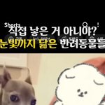 ++)악플러들이 지드래곤 어떻게 <b>역</b><b>바</b>하는지 알려줌