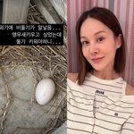 아이비, '3억 주택' 환경 얼마나 좋으면…"비둘기가 알 낳았어"...