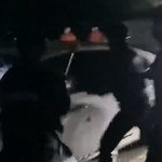 여성 <b>살해범</b> 서울대공원서 경찰특공대에 검거