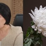 故 강지용 비보에...'이혼숙려' 이호선 교수, 무거운 글 올렸다