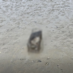 SBS는 전남 광양시 <b>명당</b>공원에 고양이 유기하는 남성을 보신 분의...