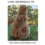 [웃픽] 누가봐도 <b>행복</b>해보이는 가족이네요