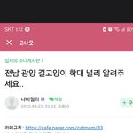 전남 광양시 고양이 학살 사건 (제발 널리 알려주세요ㅠ)