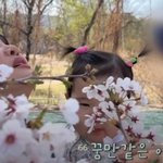 [어케생각해] 결혼하고 눈물 느는거 정상인가요