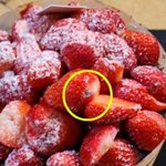 성심당 딸기 <b>시루</b> 케이크서 곰팡이