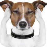 아 나 진짜 <b>adhd</b>인가봄